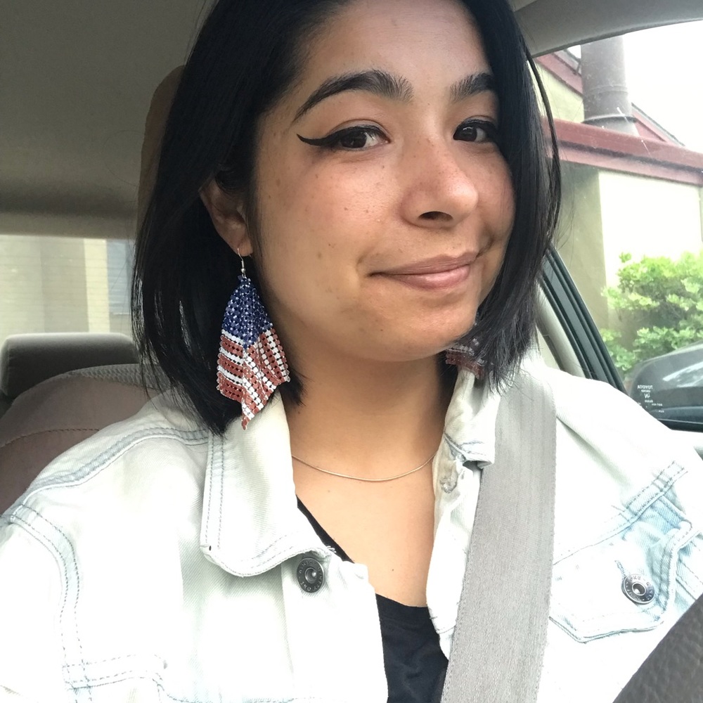American Flag Earrings Silver Chainmail Mesh Dangly Hypoallergenic Earrings NWT